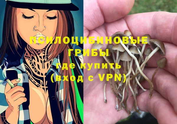 мдпв Дмитров