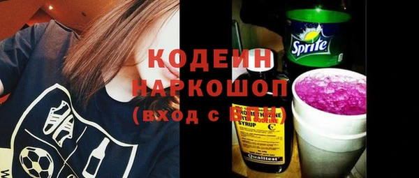 соль ск Белокуриха