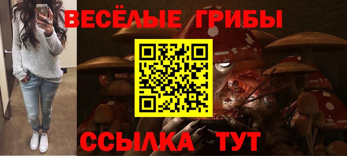 Псилоцибиновые грибы мицелий Бутурлиновка